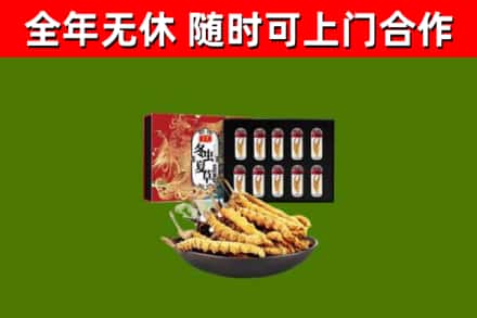 西林县回收冬虫夏草价格