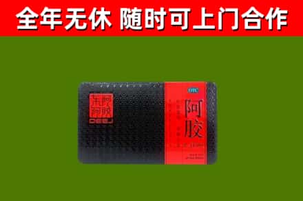 西林县回收阿胶