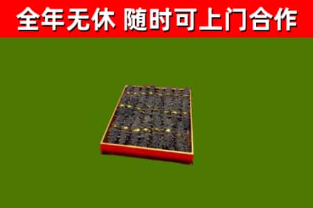 西林县回收海参